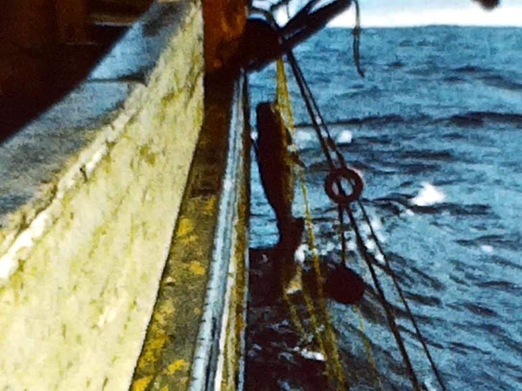 Myndefni frá Guðna Sturlaugssyni