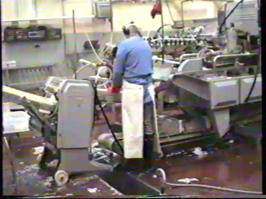 Svipmyndir úr Frystihúsi